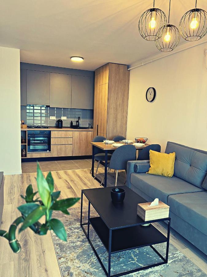 Panoramic Forest View Apartment Dumbravita  Zewnętrze zdjęcie