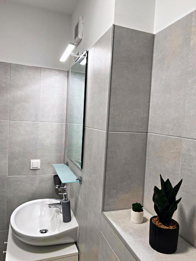 Panoramic Forest View Apartment Dumbravita  Zewnętrze zdjęcie